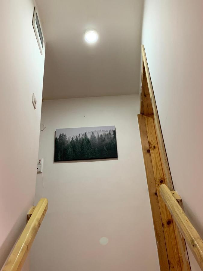 זבליאק Mountain Vista Chalet מראה חיצוני תמונה